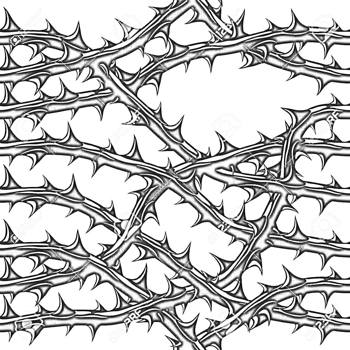 Раскраска Переплетенные шипастые ветви