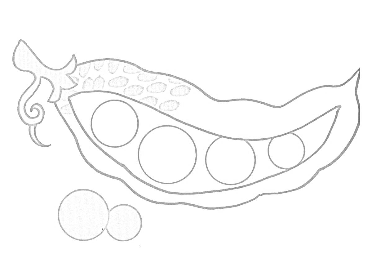 Раскраска Горох в стручке с горошинами