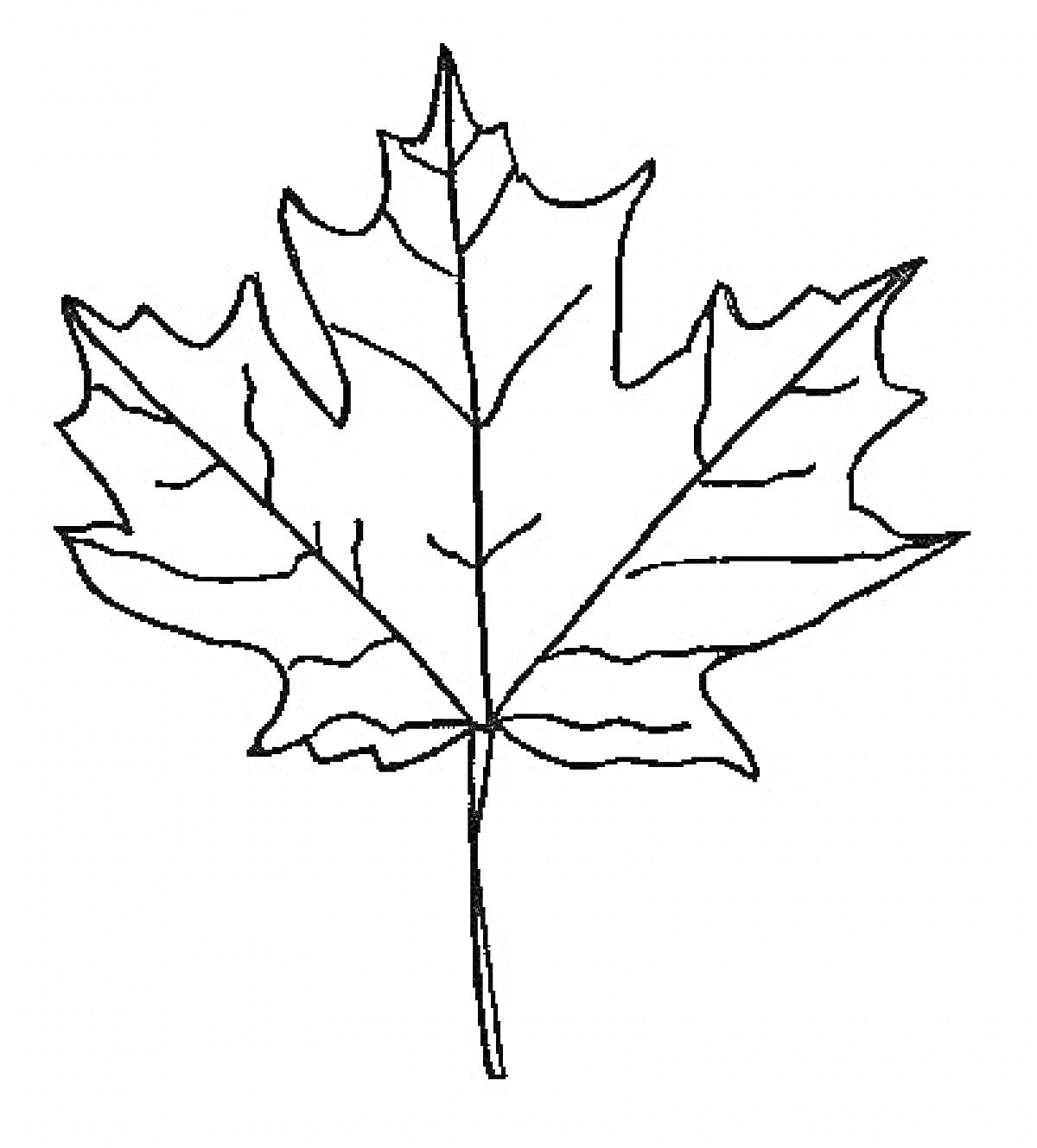 На раскраске изображено: Осень, Природа, Ботаника, Листья, Кленовые листья, Контурные рисунки