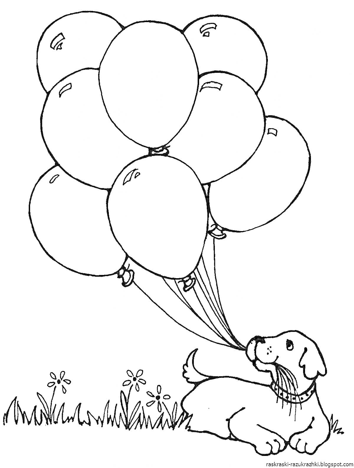Раскраска Собака с воздушными шариками на траве среди цветов
