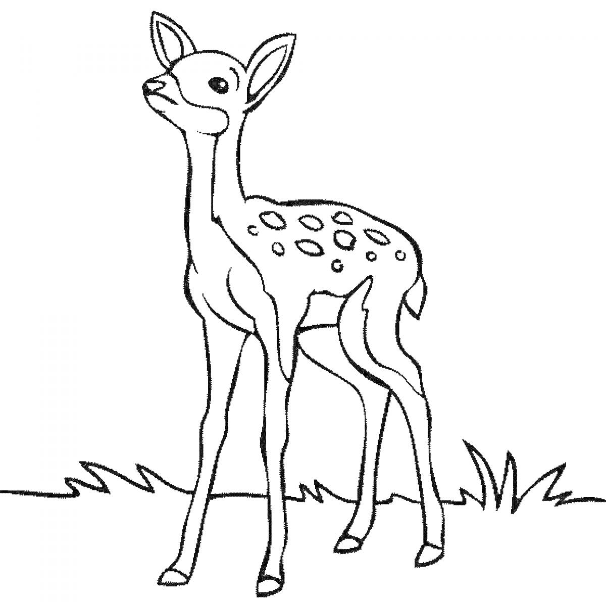 На раскраске изображено: Олень, Трава, Природа, Лесные животные, Для детей, Животные