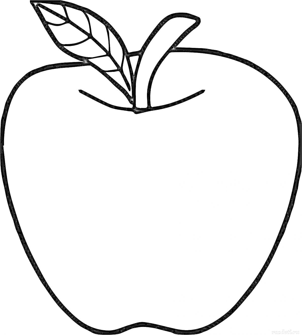 Раскраска яблоко с листиком