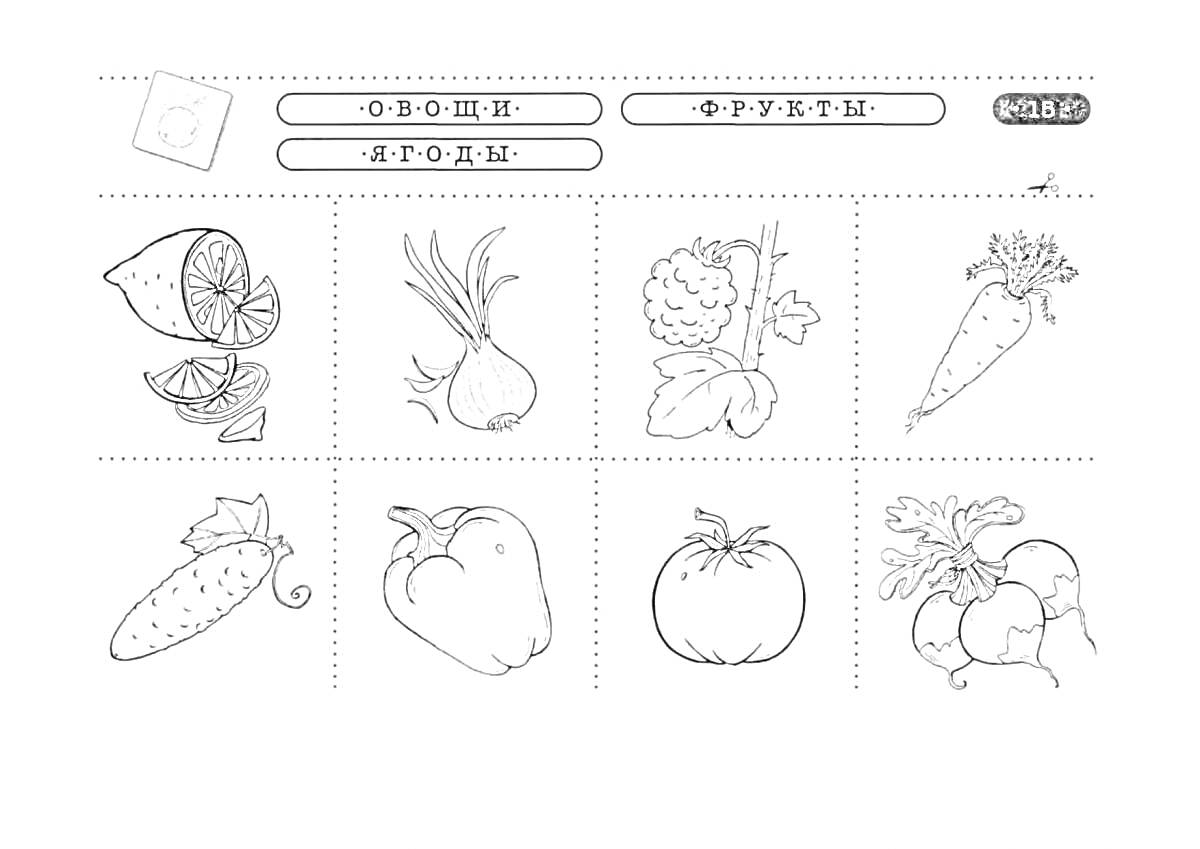 Раскраска Карточки с изображением лимона, лука, малины, моркови, огурца, болгарского перца, помидора и редиски.
