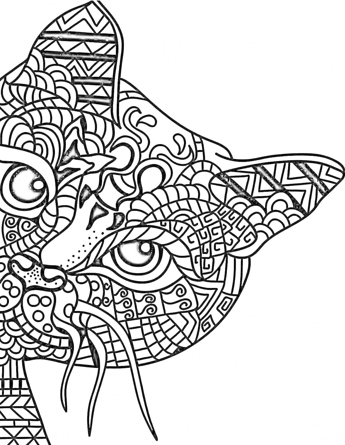 Раскраска Комплексный кот в узорах с геометрическими и абстрактными элементами