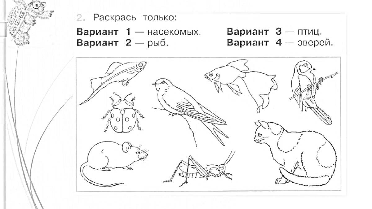 На раскраске изображено: Животные, Мышь, Кузнечик, Рыба, Воробей