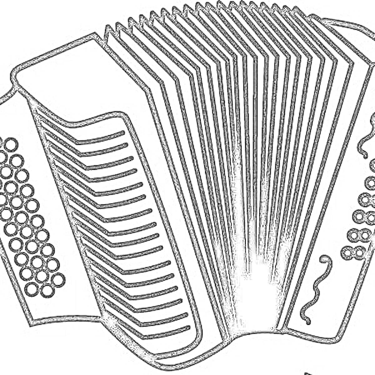 Раскраска Гармонь с кнопками и мехами на раскраске