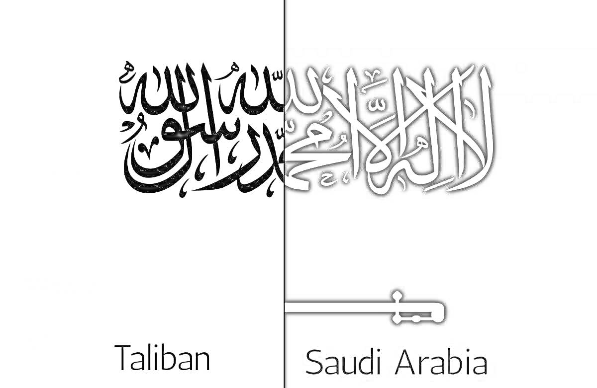 Раскраска Половина флага Талибана и половина флага Саудовской Аравии, белый и чёрный фон, надписи 