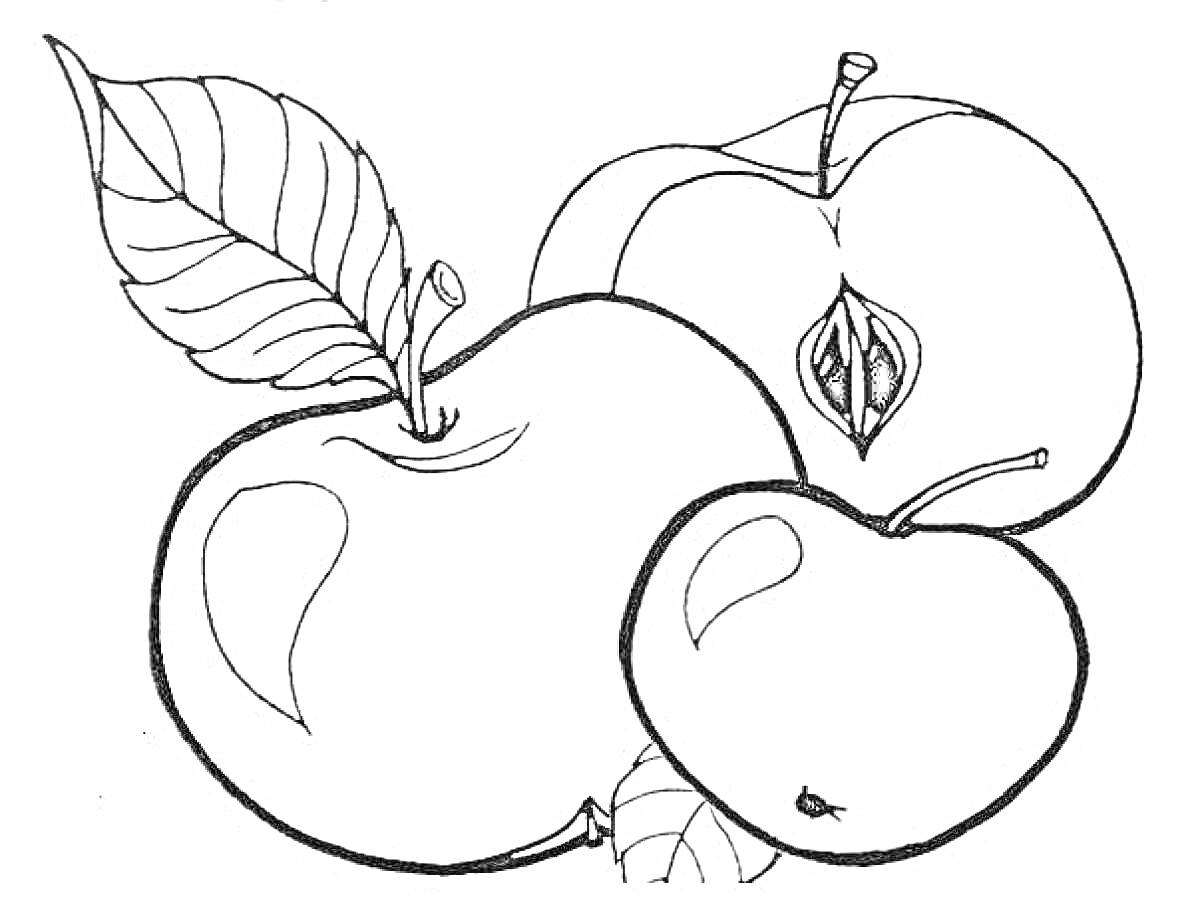 Три яблока с листьями