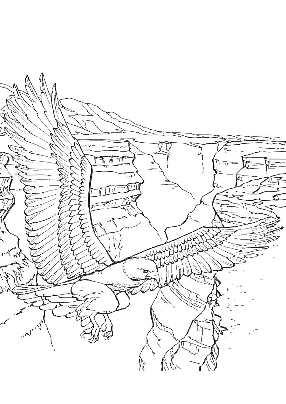Раскраска Орёл, летящий над каньоном в Дагестане