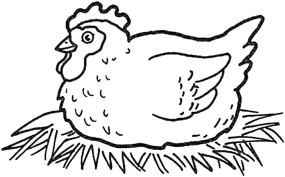 Раскраска Курица, сидящая на траве