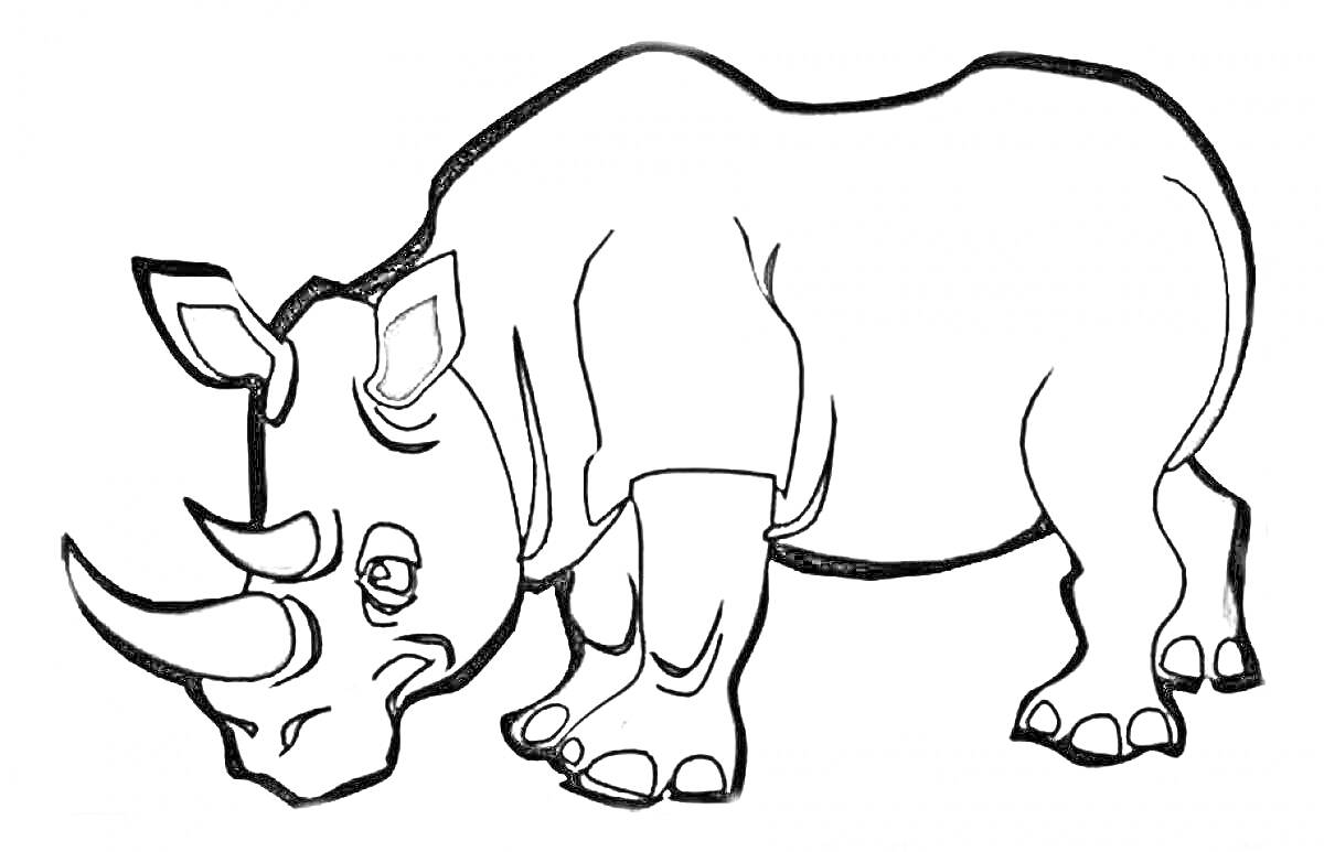 Носорог, стоящий на четырех ногах с двумя рогами на голове