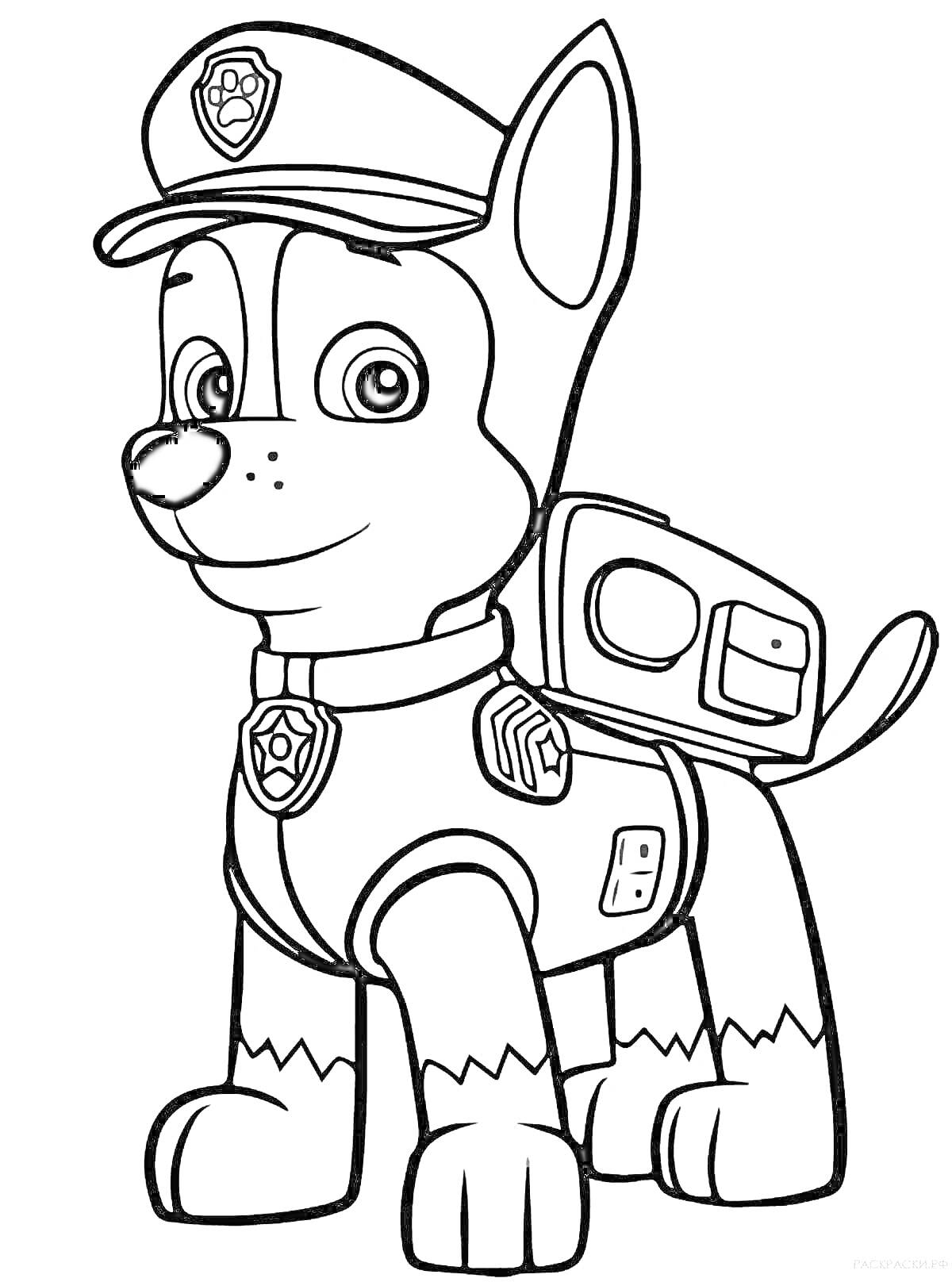 Раскраска Щенок полицейский в форме из мультфильма 