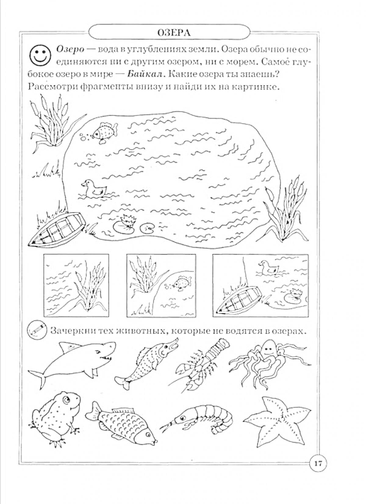 На раскраске изображено: Озеро, Растения, Рыба, Лодка, Природа, Животные, Для детей, Первый класс, Окружающий мир