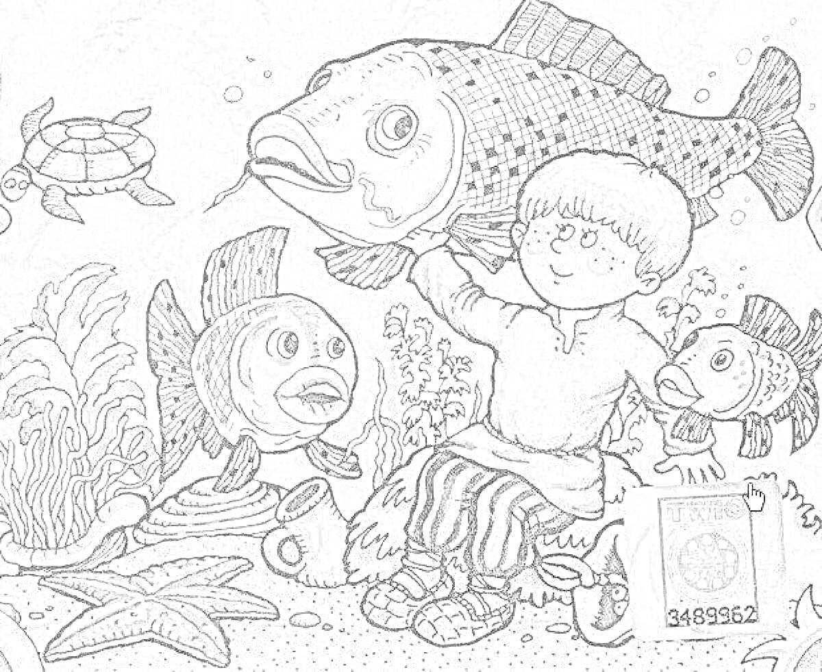 На раскраске изображено: Мальчик, Рыба, Черепаха, Водоросли, Ведёрко, Книга, Море, Подводный мир
