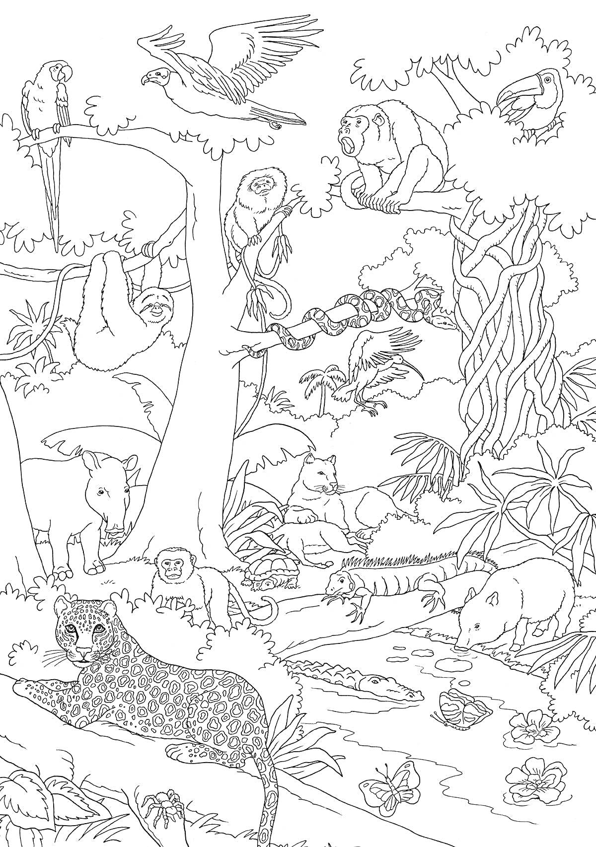 На раскраске изображено: Тропический лес, Леопард, Тапир, Ленивец, Цапля, Растения, Деревья, Природа, Животные
