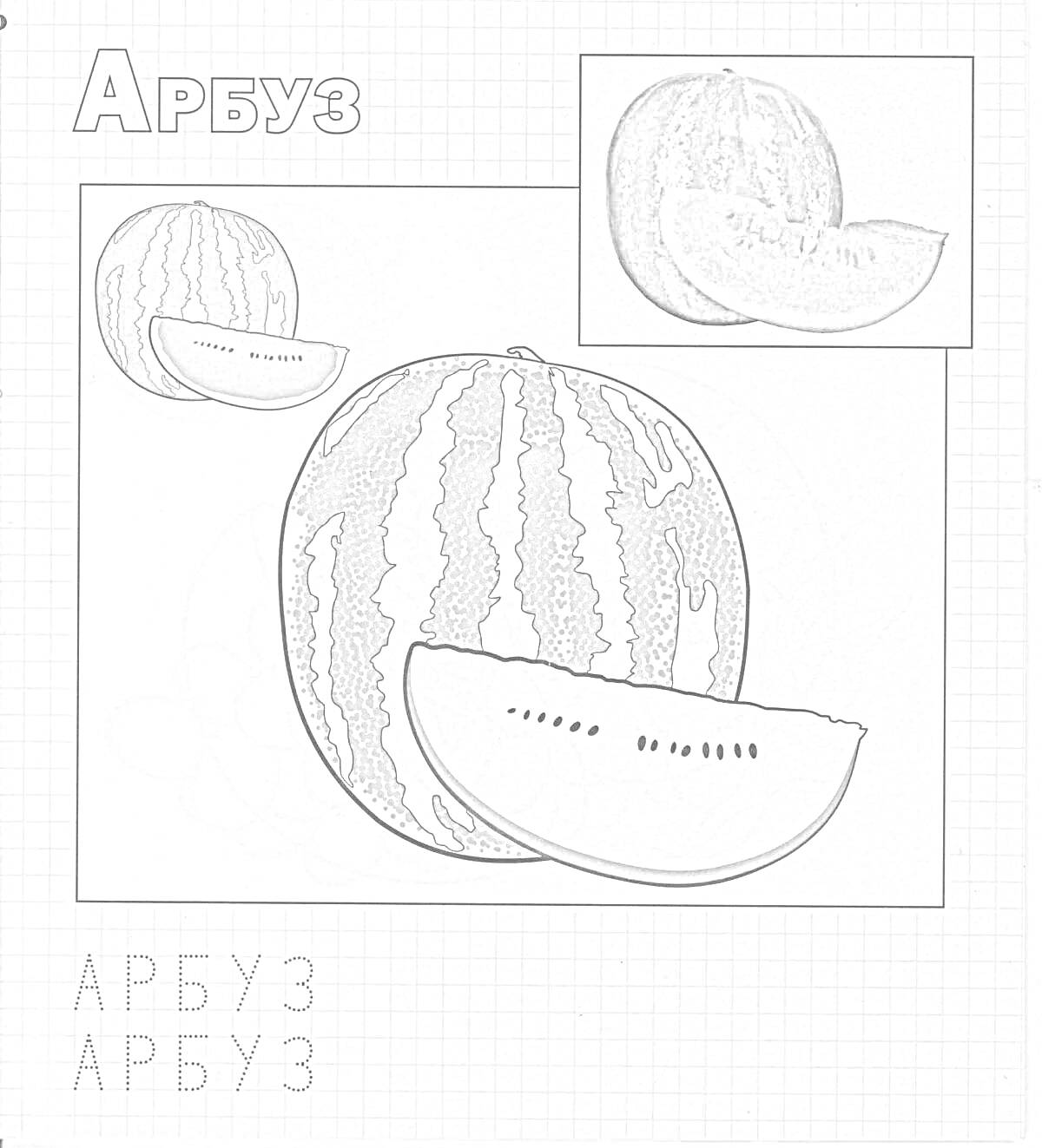 Раскраска Арбуз - раскраска с изображением целого арбуза и его дольки. Включает текст слова 