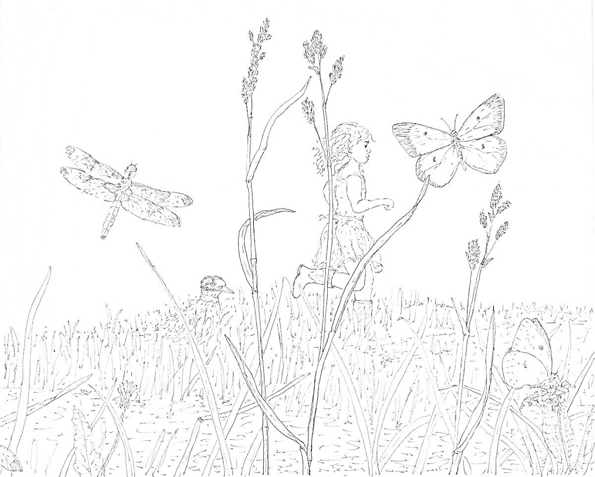 Раскраска Луг с мальчиком, стрекозой, бабочками и кустарниками