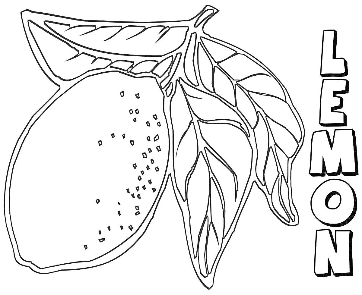 Раскраска Лимон с веткой и листьями, слева надпись 