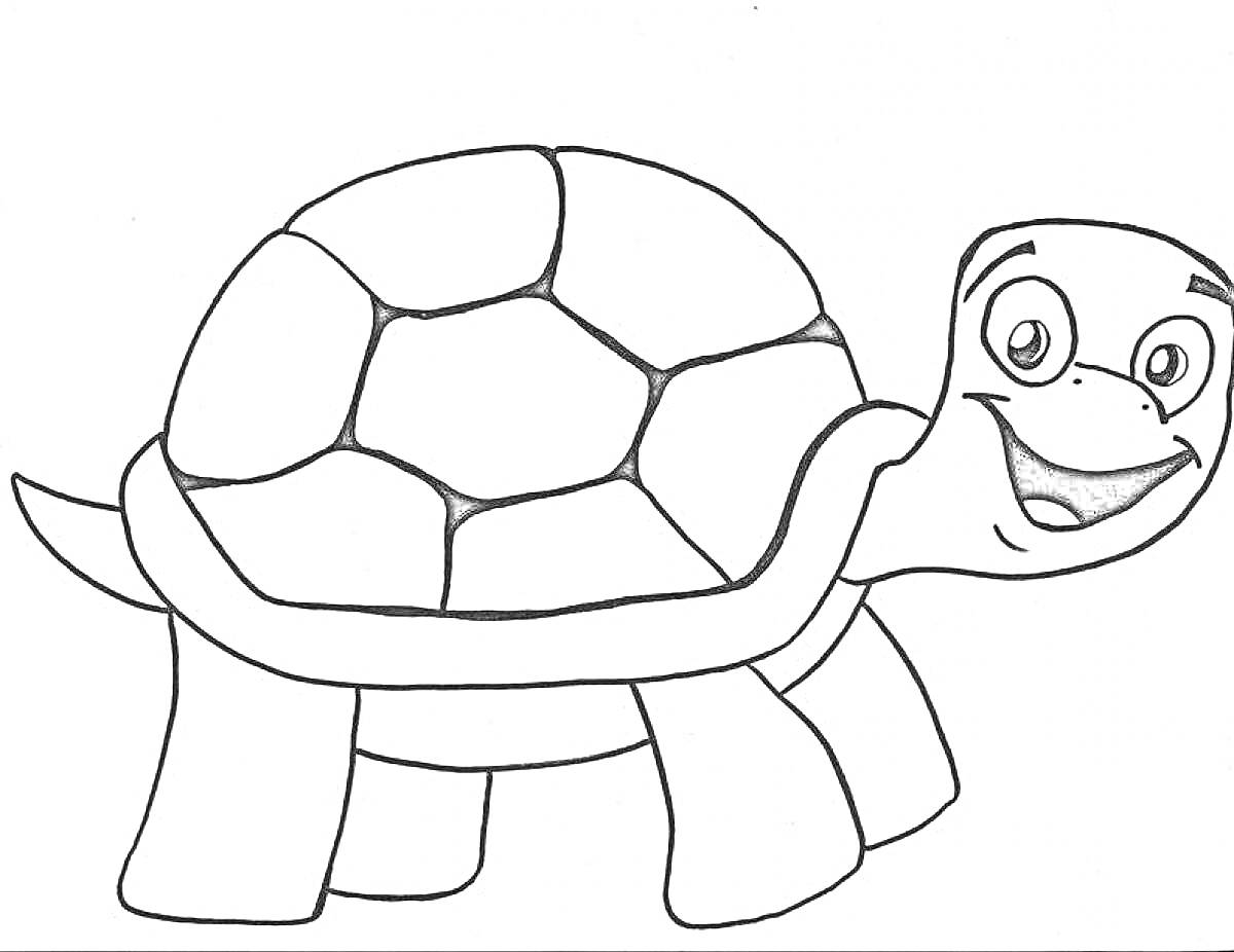 Раскраска Черепаха с радостным выражением лица, панцирь с узором, лапы и хвост