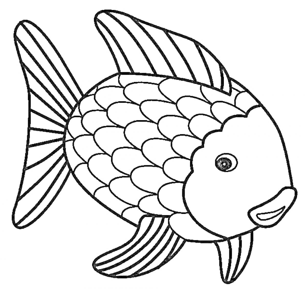 Раскраска Большая рыбка с чешуйками, плавниками и хвостом