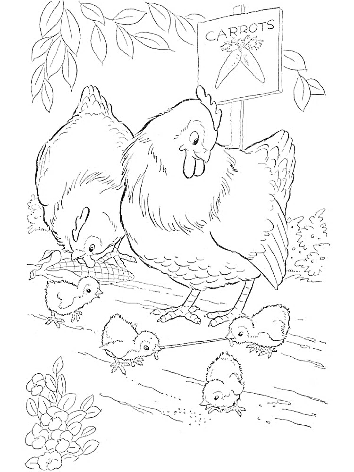 На раскраске изображено: Куры, Цыплята, Знак, Морковка, Листья, Деревья, Дорожка