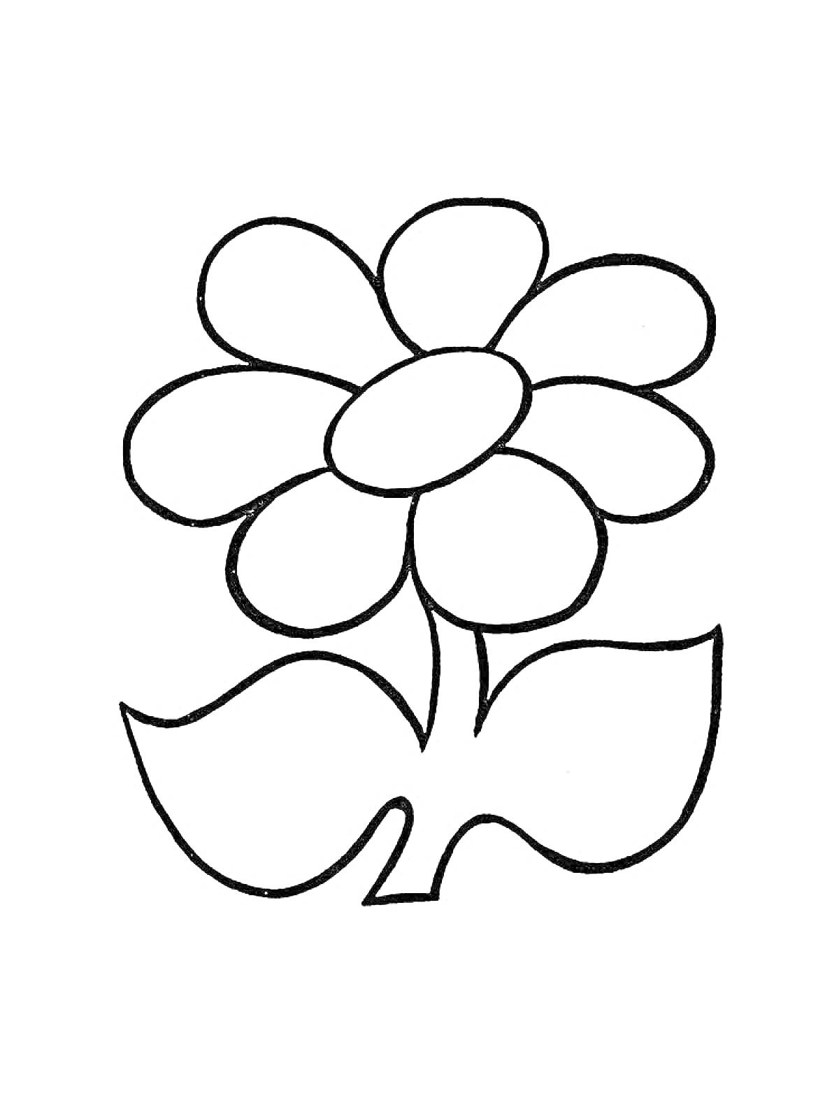 Раскраска Цветок с лепестками и двумя листьями