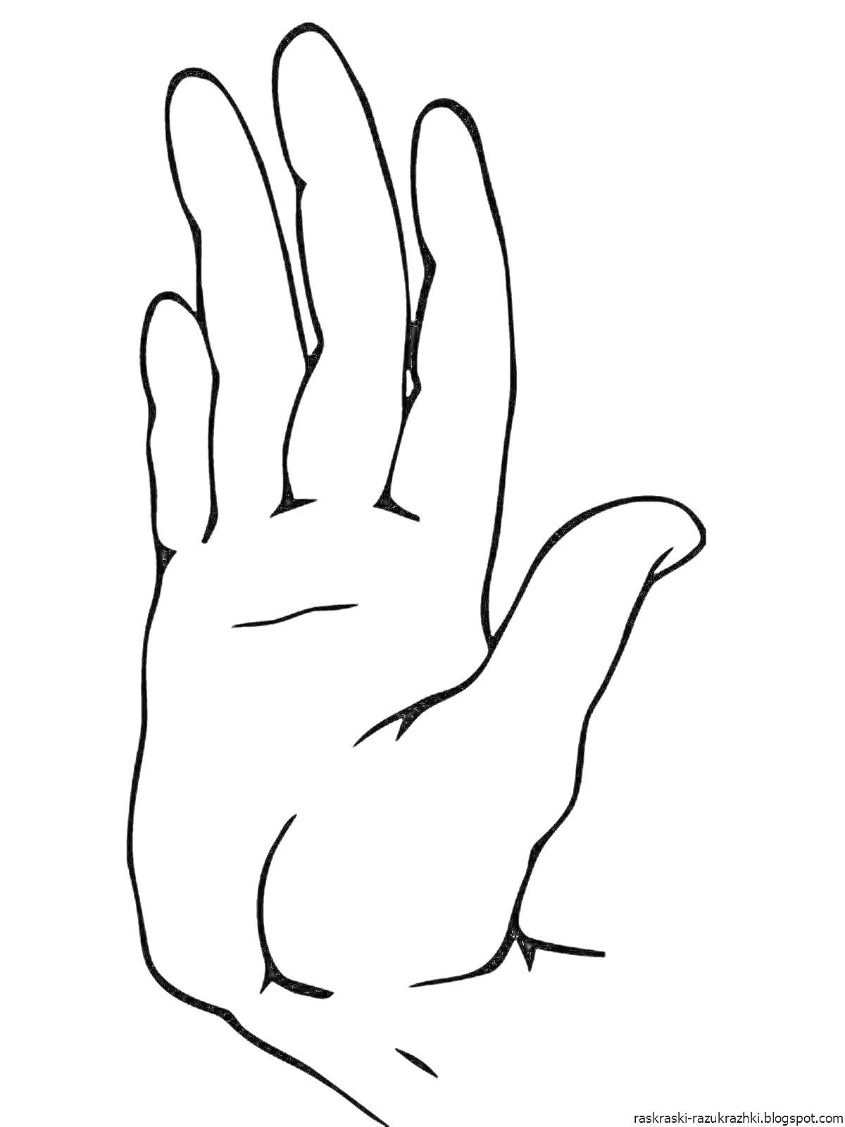 Раскраска контур руки с растопыренными пальцами
