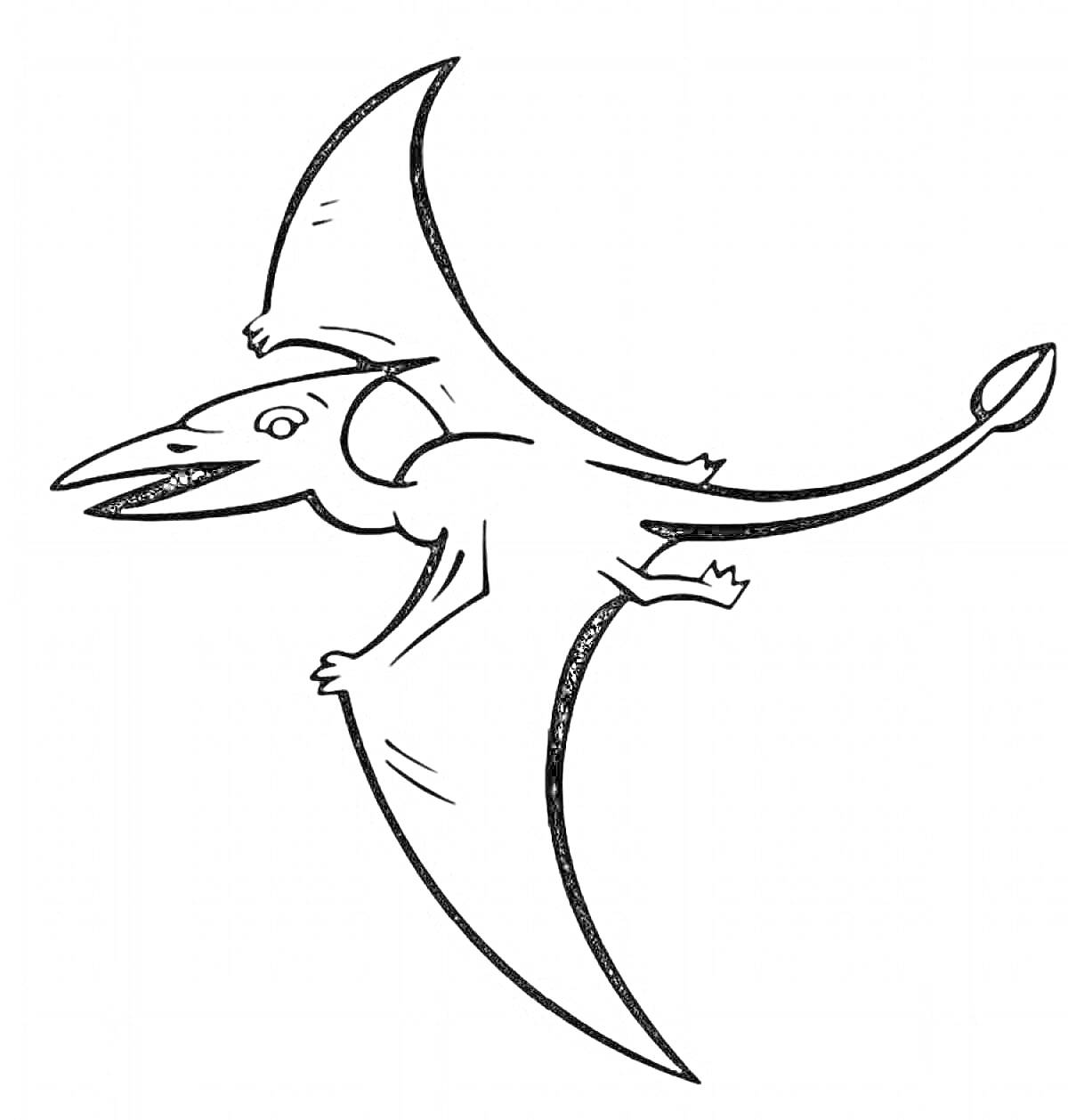 Раскраска Летящий птеродактиль с длинным хвостом и острым клювом