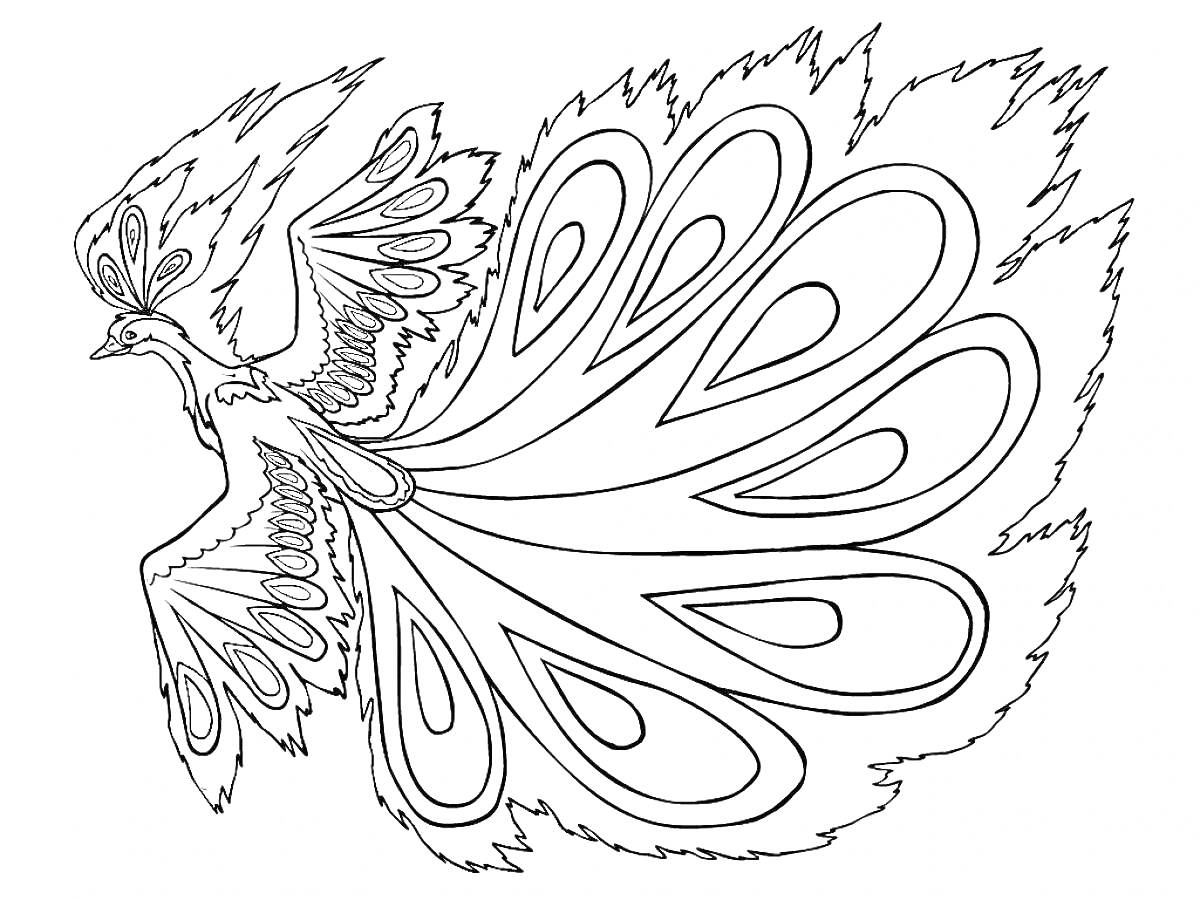 Раскраска Птица с распахнутыми крыльями и пышным хвостом