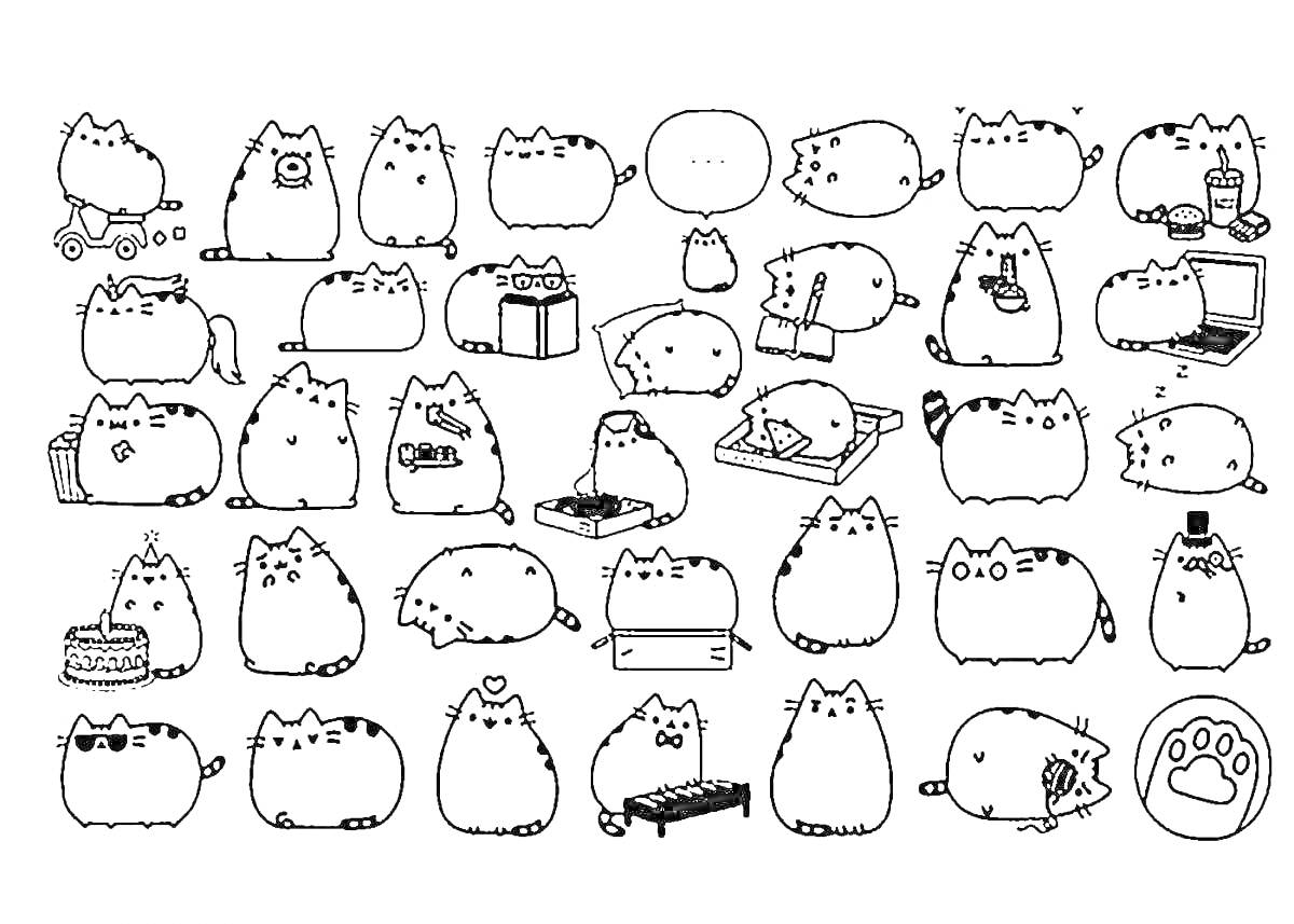 Раскраска кошки с различными предметами и в разных действиях; беговел, фотография, кекс, сердечко, пианино, ноутбук, утюг, коробка-подарок, видео, тортики, курица, очки, шляпа