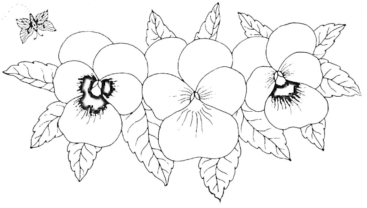 На раскраске изображено: Анютины глазки, Цветы, Лепестки, Бабочка, Природа, Контурные рисунки, Листья