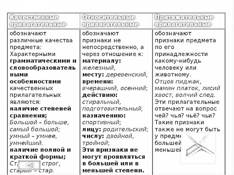 Осенний качественное относительное или притяжательное. Осенний качественное относительное или притяжательное