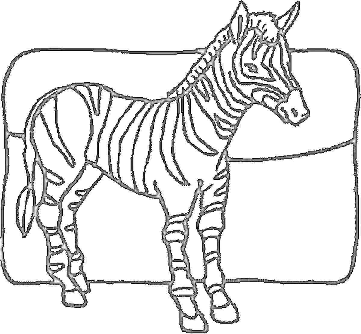 Раскраска Раскраска с изображением зебры на фоне прямоугольной формы