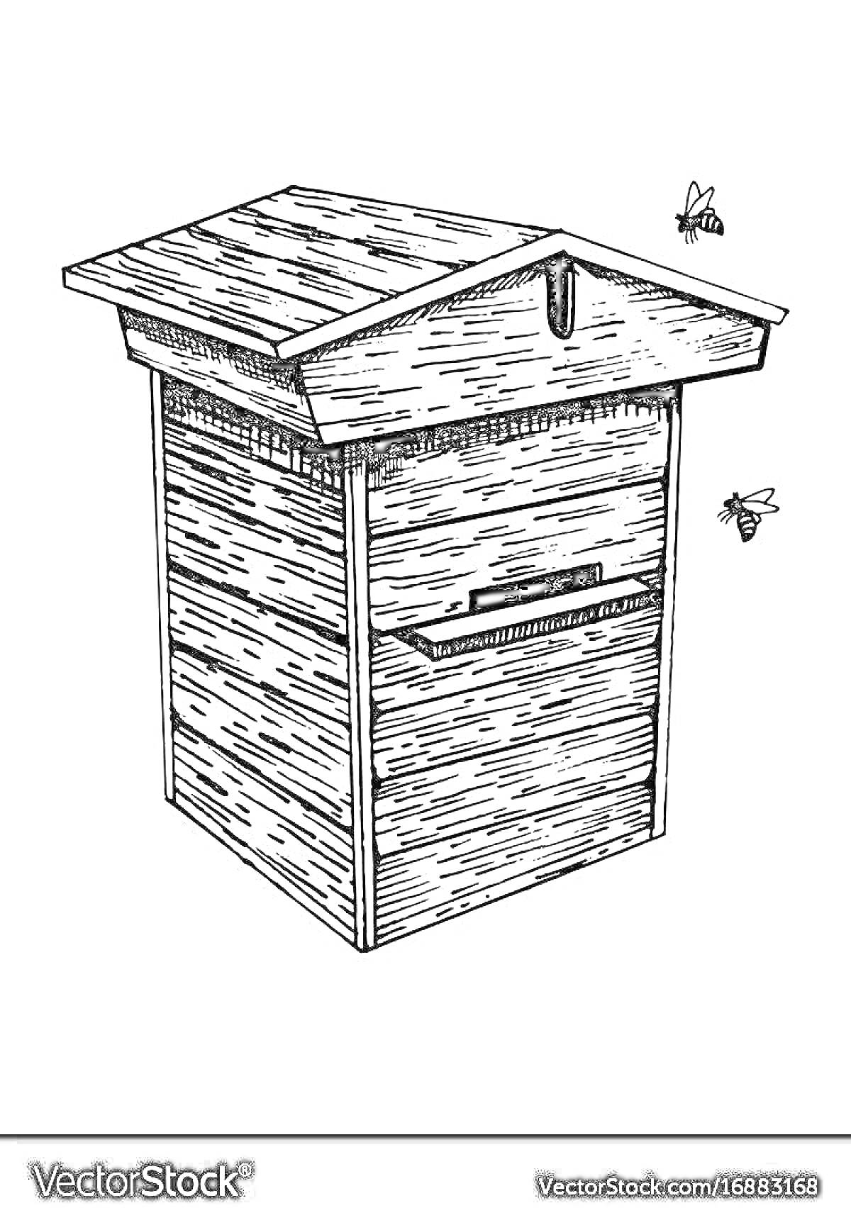 Раскраска Улей с двумя пчелами на фоне