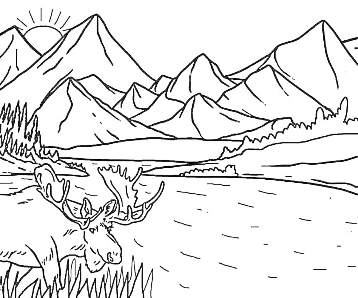 На раскраске изображено: Горы, Озеро, Природа, Лес, Солнце, Пейзаж, Олень, Деревья