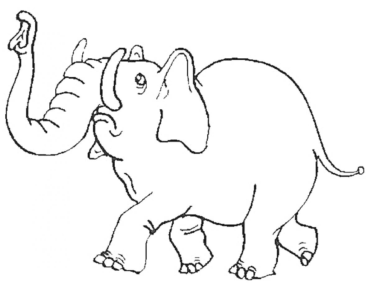 На раскраске изображено: Слон, Хобот, Для детей, Животные