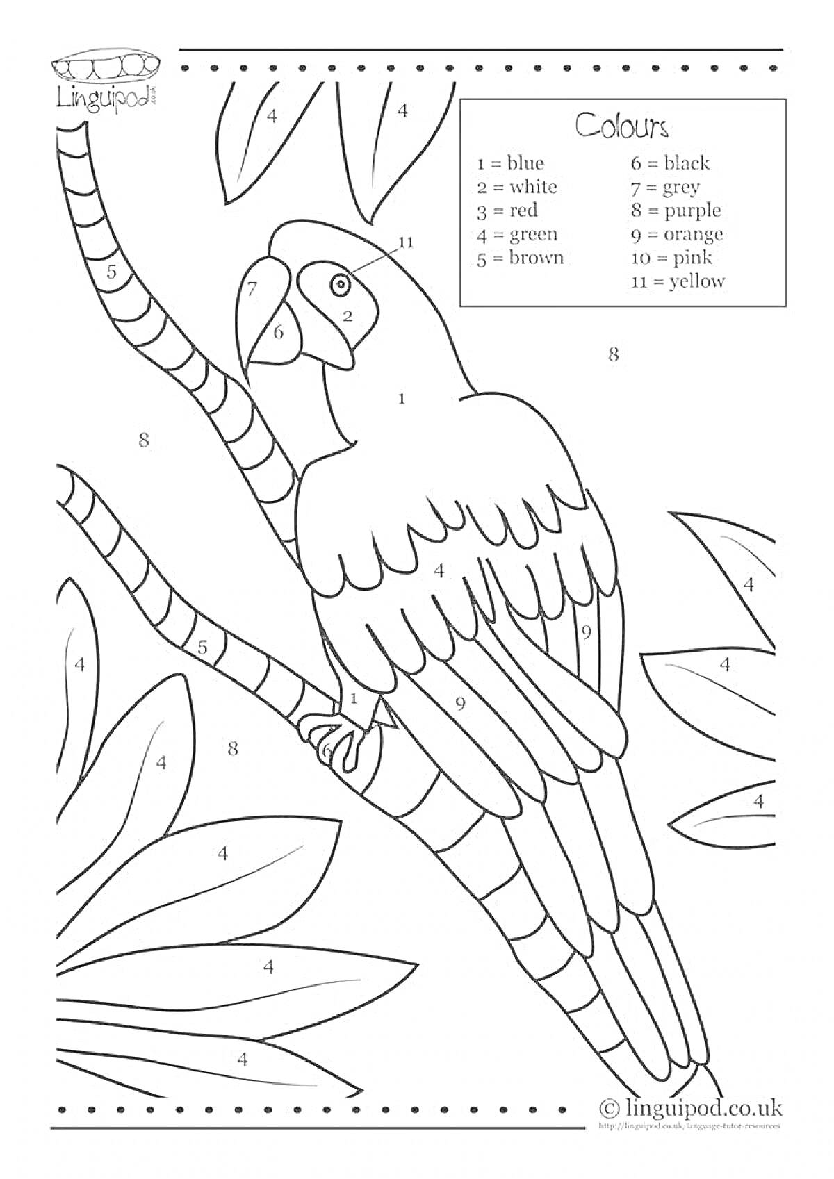 Раскраска по номерам - попугай на ветке среди листьев