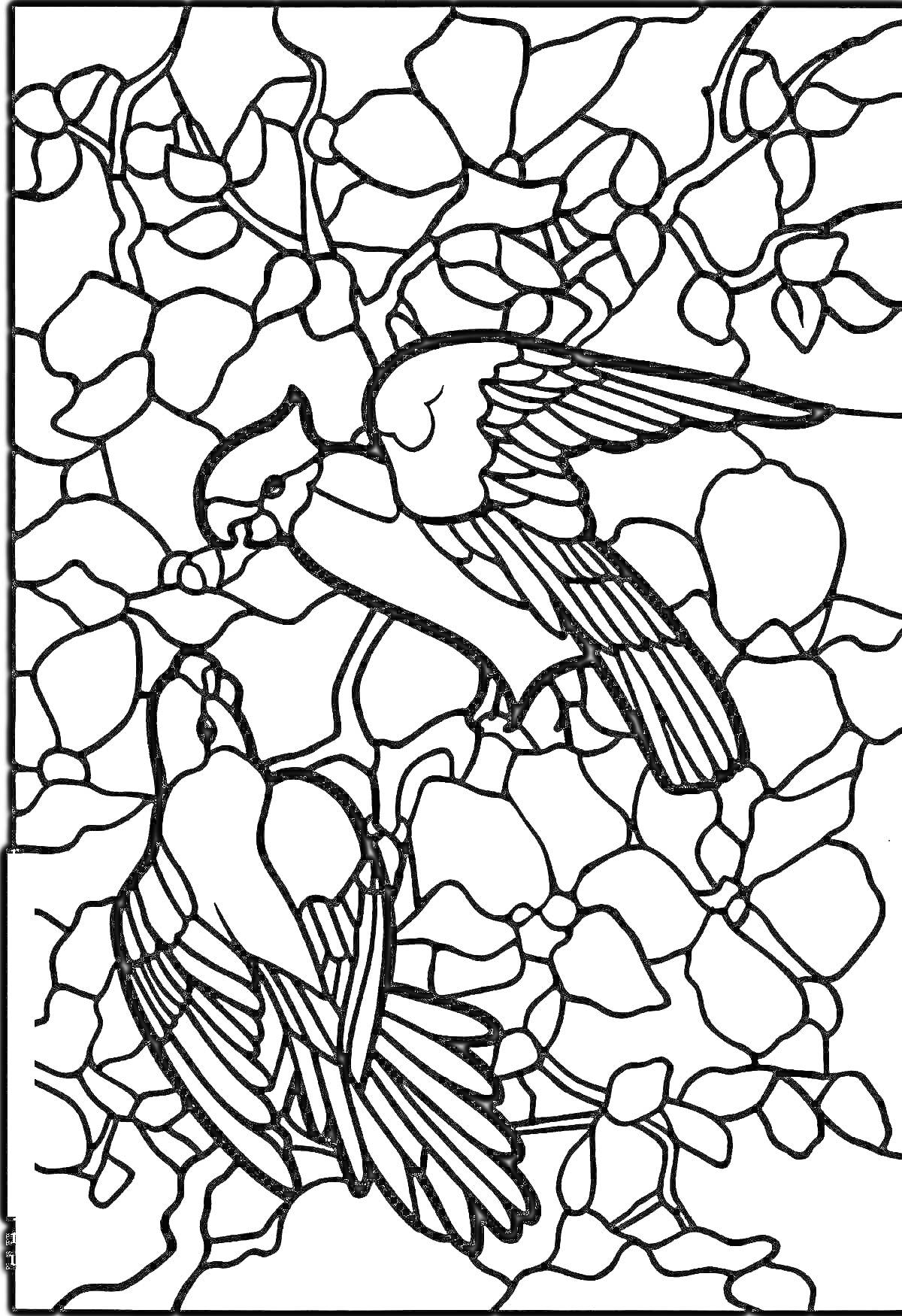 На раскраске изображено: Листья, Цветы, Витраж, Птица, Ветка
