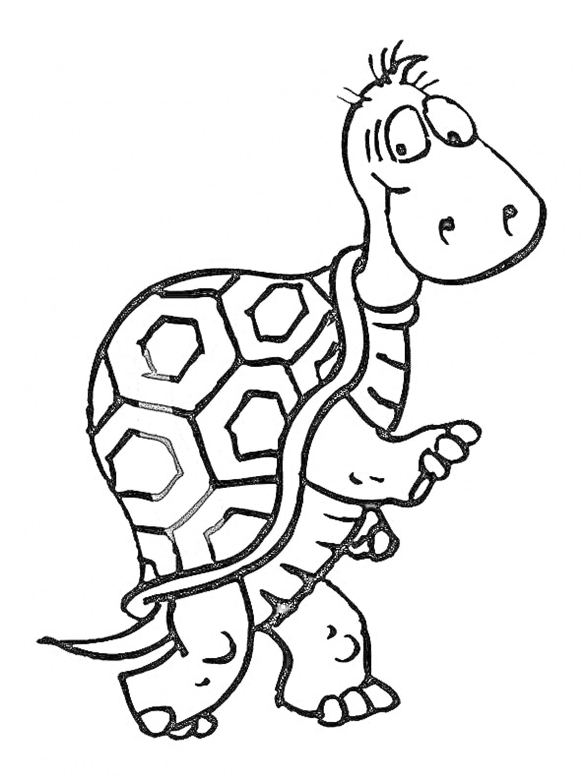Раскраска Черепаха с геометрическим узором на панцире и пушистым чубчиком