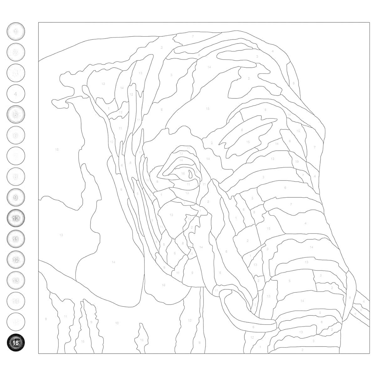 Раскраска Раскраска слона, крупный план, вид сбоку, штриховка линий для раскрашивания