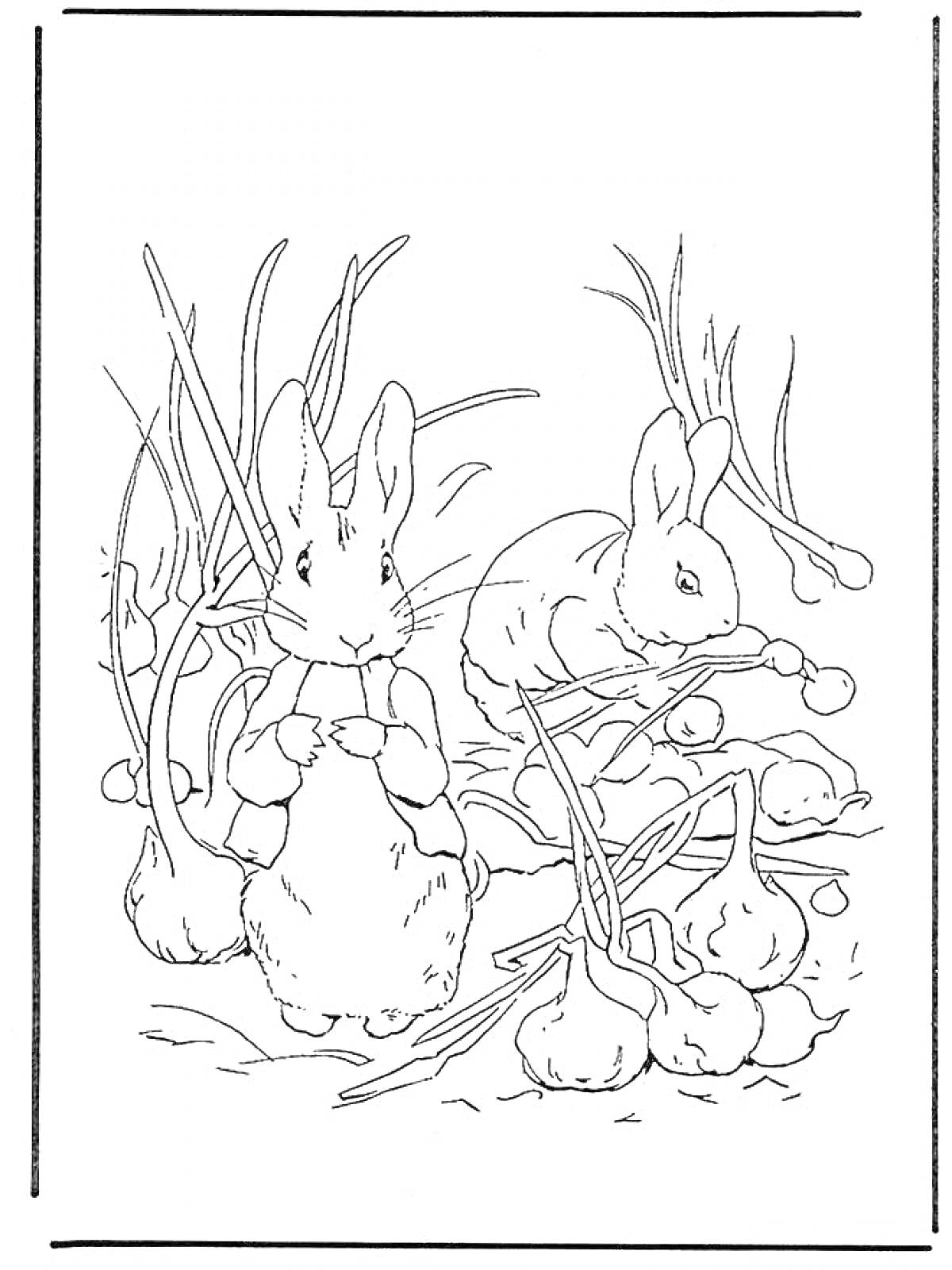 Раскраска Кролик Питер и второй кролик в лесу среди кустов и плодов