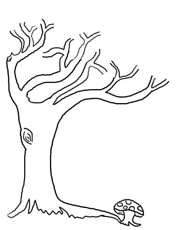 Раскраска Дерево без листьев с грибом у основания