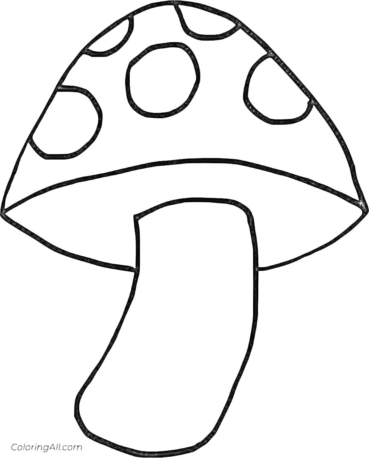 Раскраска гриб с пятнистыми шляпкой и ножкой