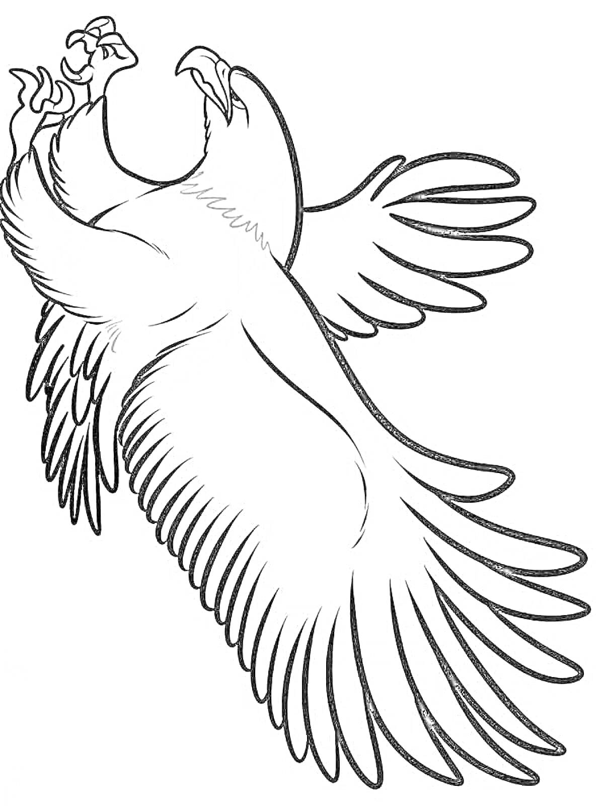 Раскраска Летающий орёл с широко расправленными крыльями и поднятыми лапами