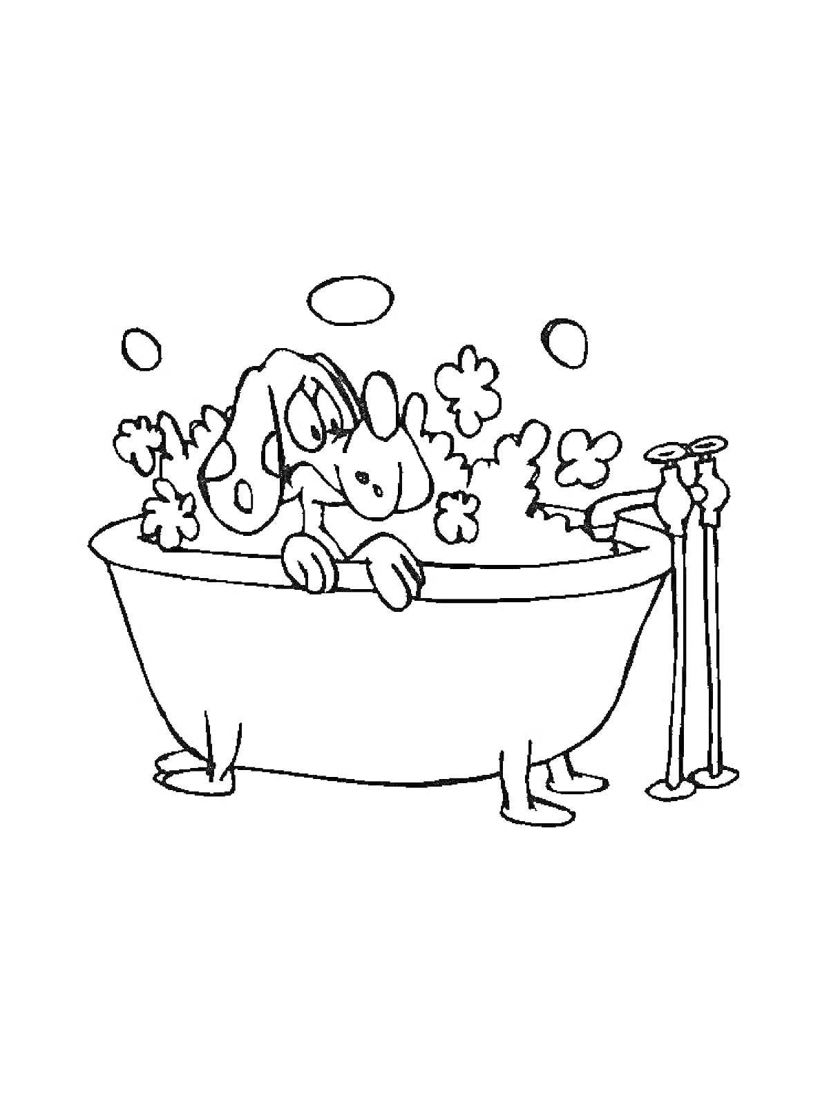 Собака в ванне с мыльными пузырями и цветочками
