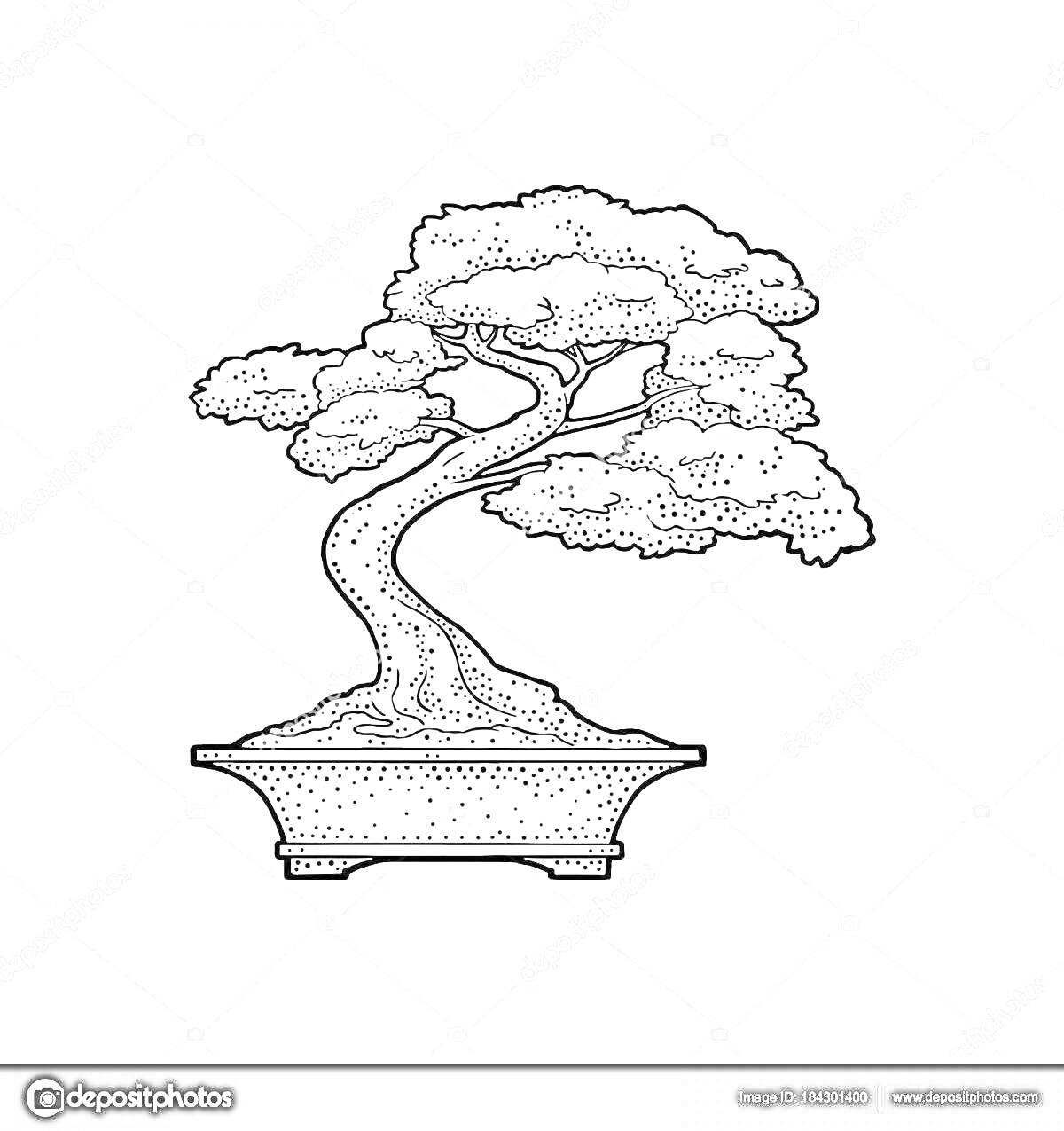 Раскраска Бонсай дерево в горшке