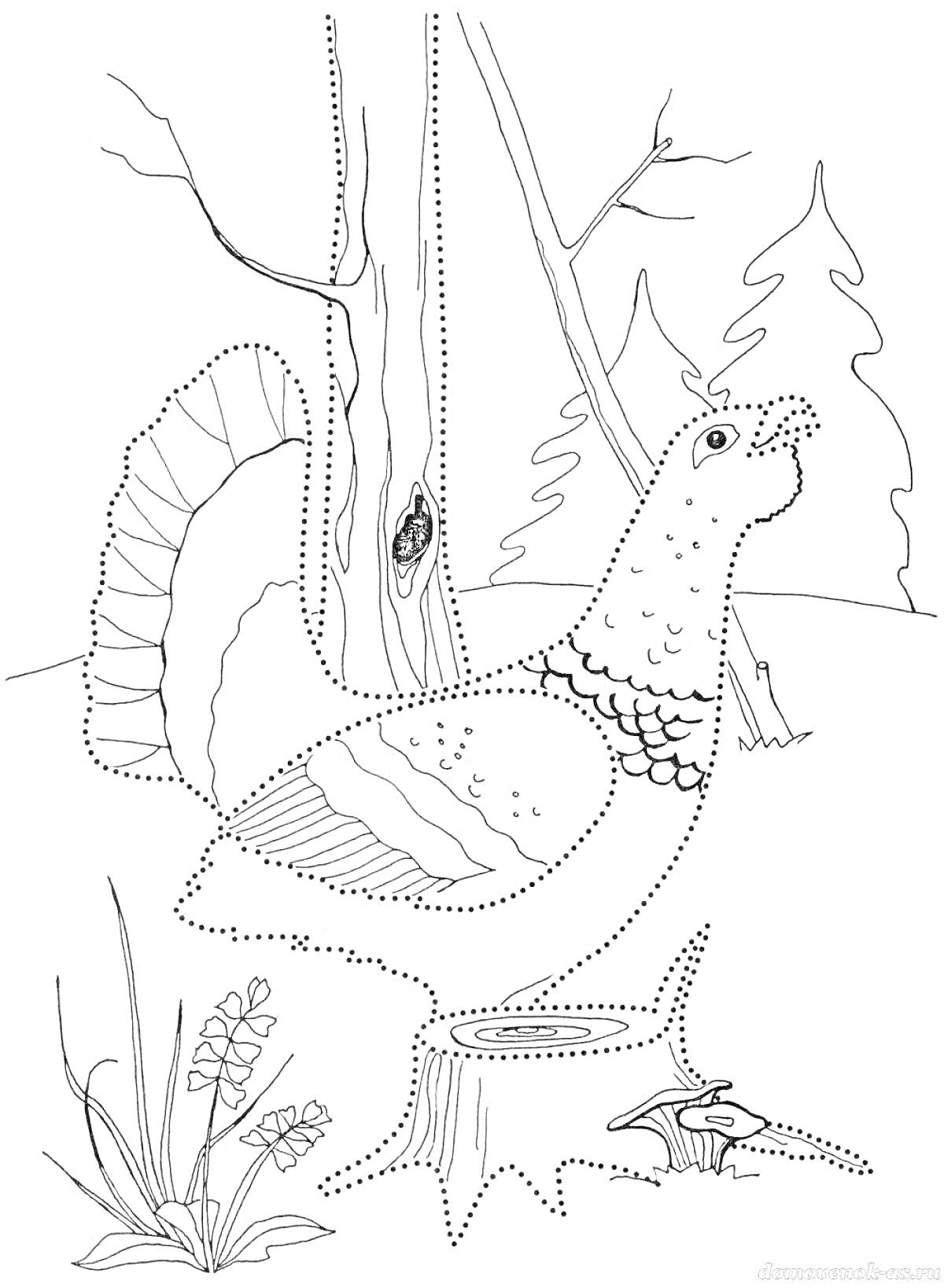 Раскраска Тетерев на фоне деревьев и пней с травой и грибами