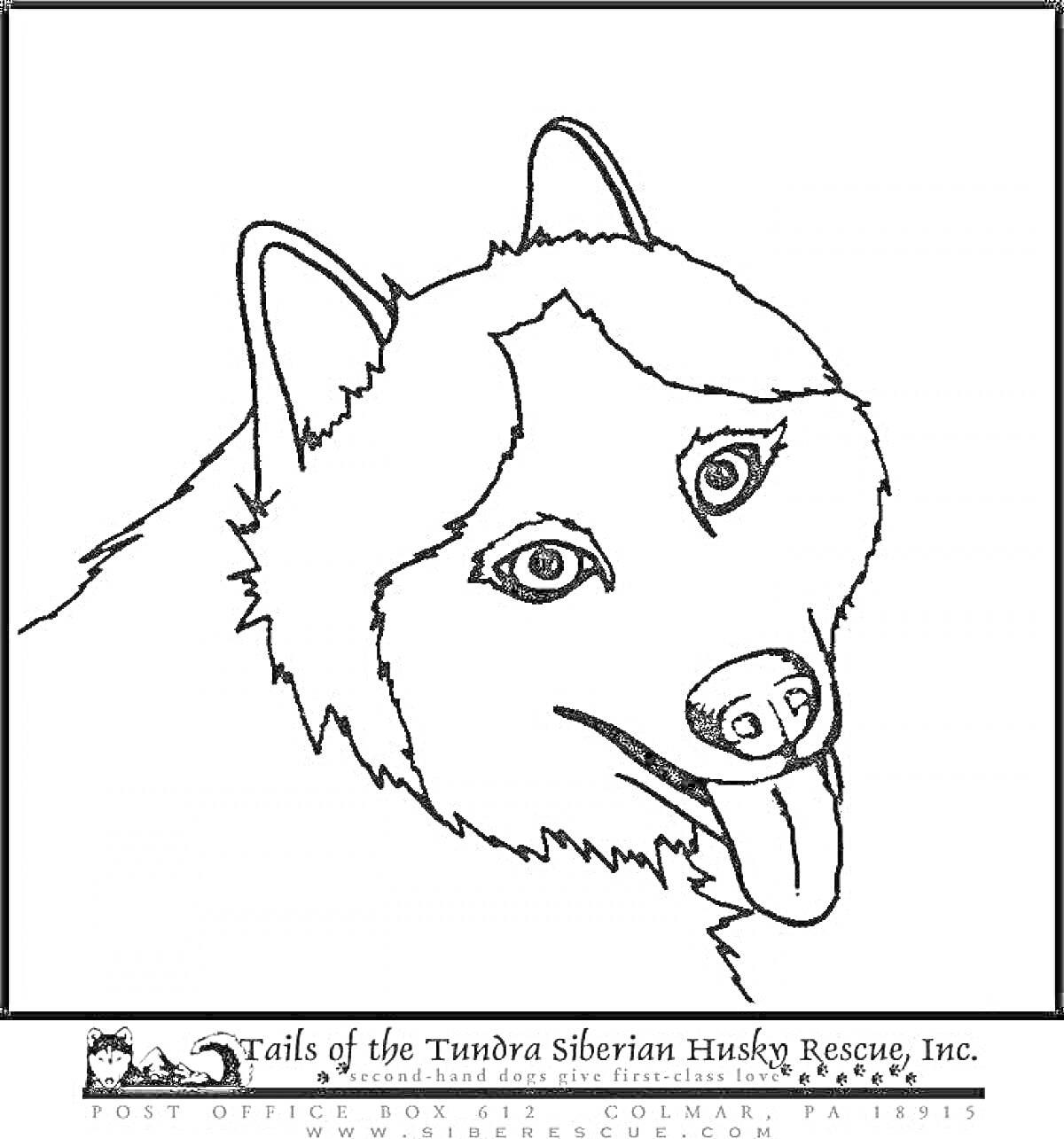 Раскраска Хаски собака с высунутым языком, логотип внизу, текст 