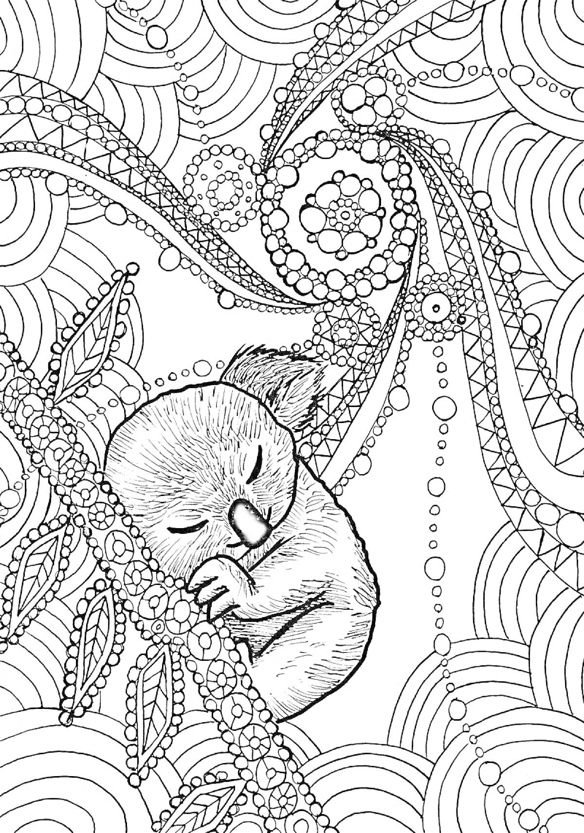 Раскраска Коала на ветке в окружении абстрактных узоров