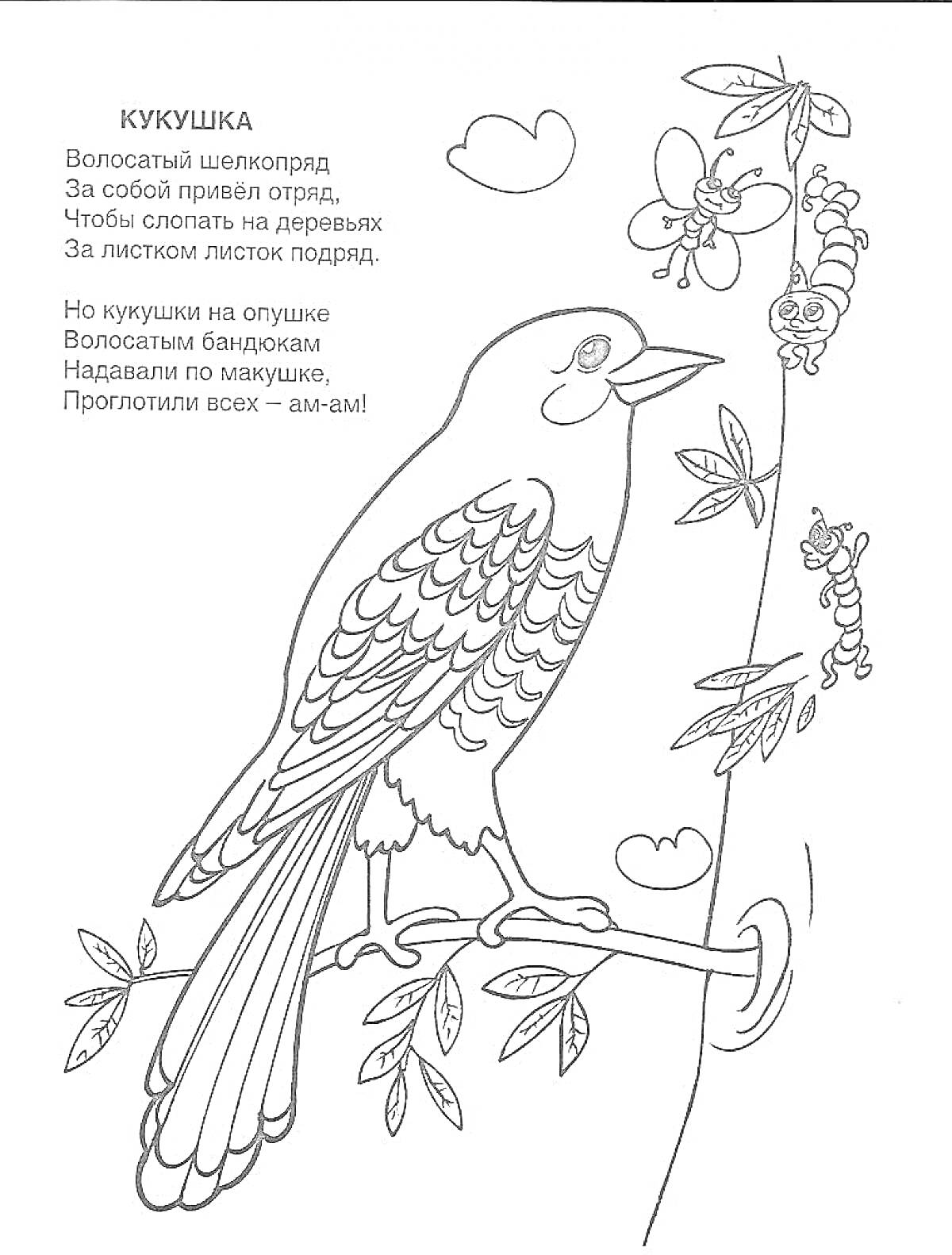Раскраска Кукушка на дереве с гусеницей, бабочкой и цветами